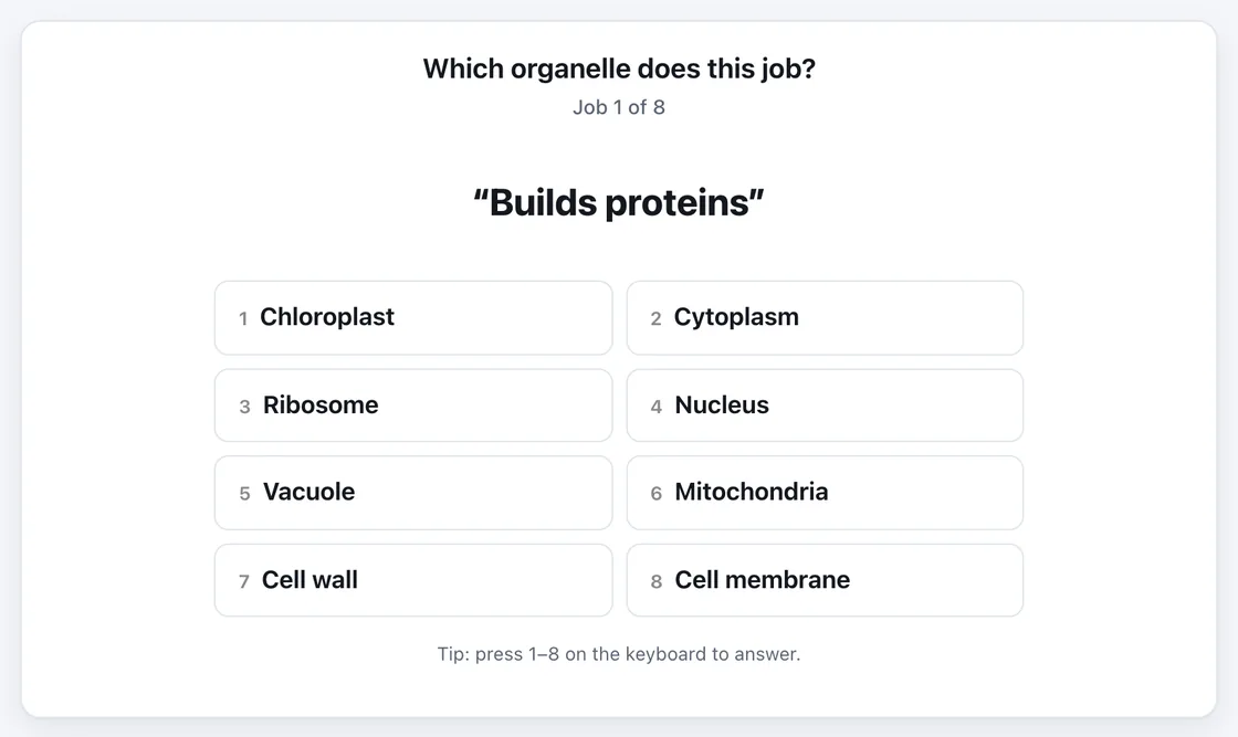 Cell Organelles: Match the Job gameplay
